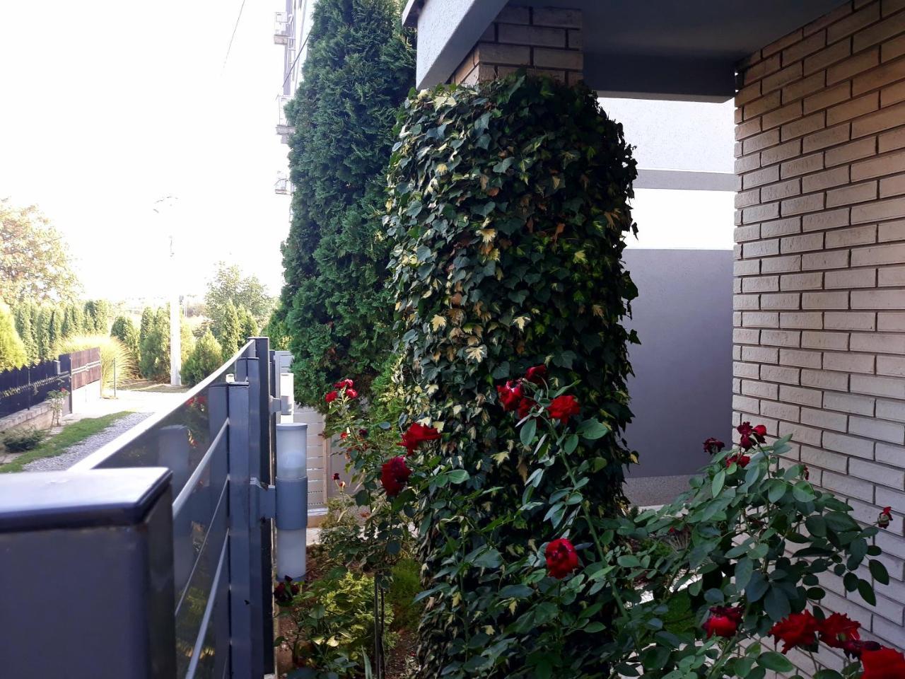Apartments Popovic بلغراد المظهر الخارجي الصورة